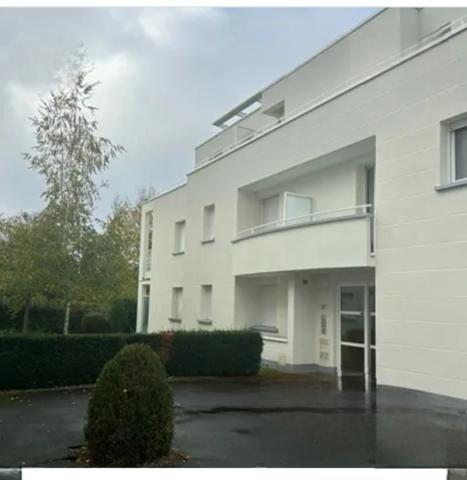 Magnifique appartement Rénové 2 Chambres Quartier Saint-Symphorien