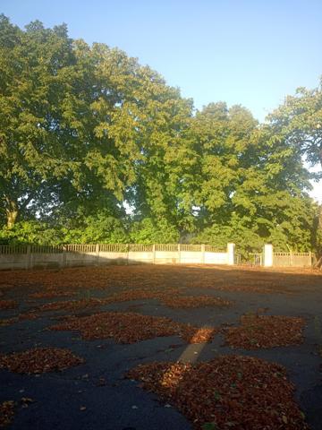 Argentré (53210) TERRAIN A BATIR DANS UN CADRE EBLOUISSANT