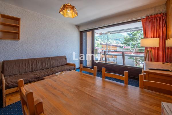 Appartement t2 + coin nuit sous bail