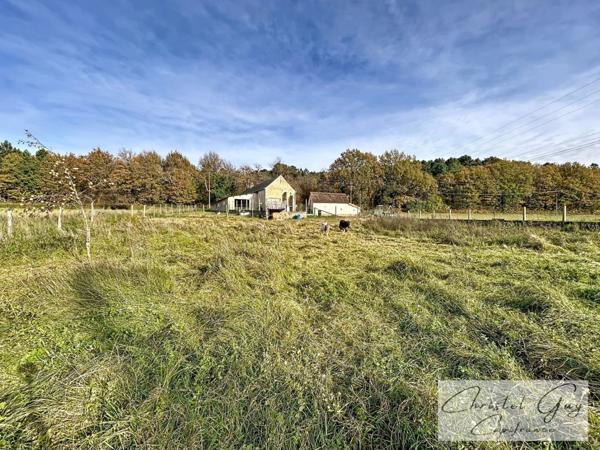 Vaas (72500), Maison de campagne à vendre, 4 chambres, garage, dépendances sur 3000 m² de terrain