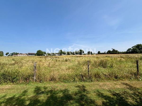 A vendre - Grande maison familiale avec piscine, dépendances et écuries - 9 pièces - 205m² - entre Thouars et Argentonnay - D5878