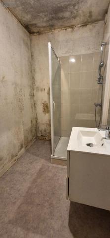 Immeuble à vendre à La-Ferté-Bernard dans la Sarthe (72400), ref : 462   
CENTRE VILLE