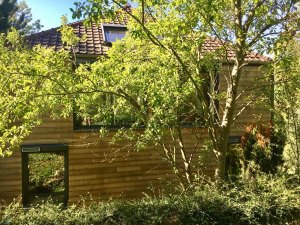 Maison moderne baignée de lumière ouverte sur la nature