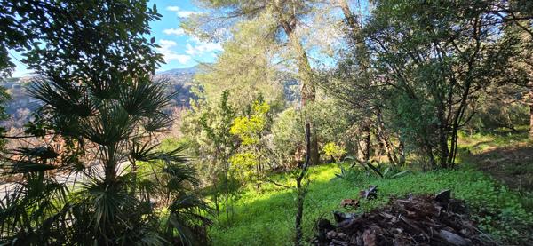 Terrain Saint Paul De Vence 970 m² constructible 240 m²