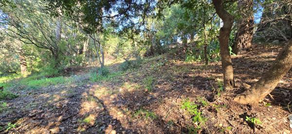 Terrain Saint Paul De Vence 970 m² constructible 240 m²