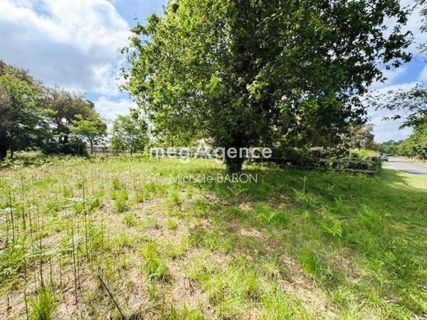 Terrain à MOLIETS-ET-MAA, 40660 - 800m²
