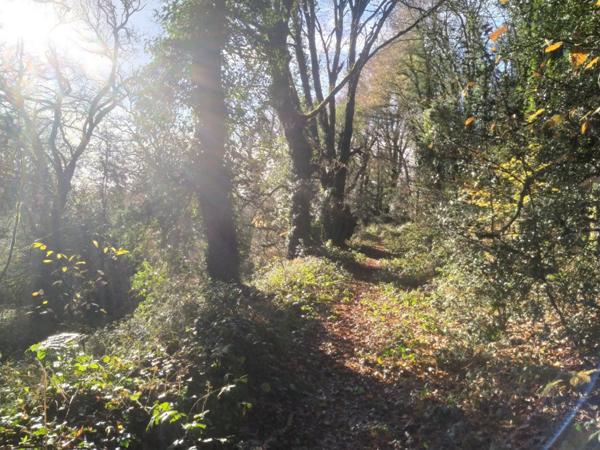 Ici vous n'entendrez que la nature !