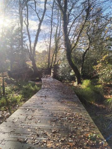 Ici vous n'entendrez que la nature !