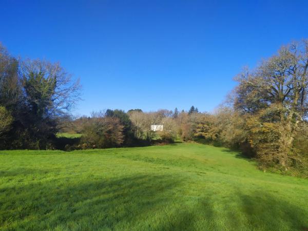 Ici vous n'entendrez que la nature !