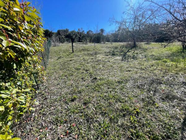 Grand terrain à bâtir avec vue dégagée