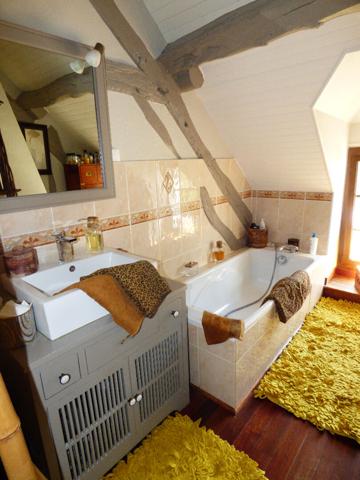 Maison Montbarrois 7 pièce(s) 286.75 m2