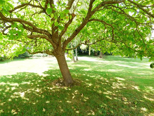 Maison Montbarrois 7 pièce(s) 286.75 m2