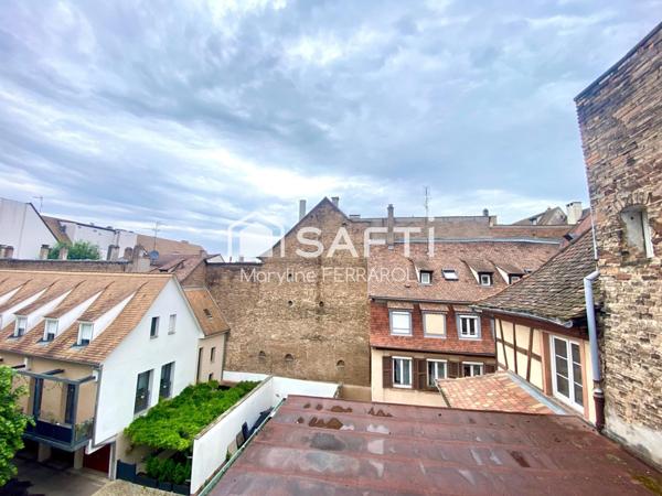 Strasbourg Centre – Duplex F3 lumineux calme