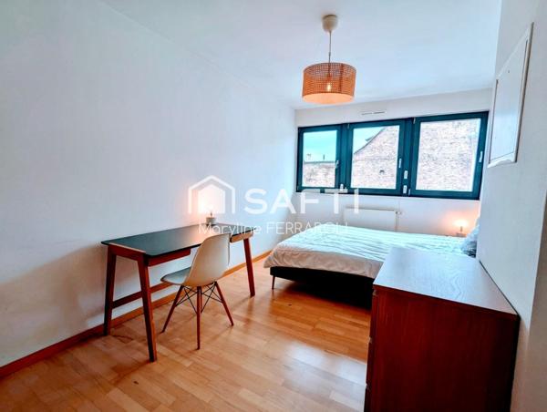 Strasbourg Centre – Duplex F3 lumineux calme