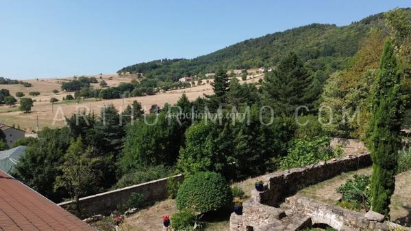 Vente Maison 11 pièces 374 m2 à Saint-Julien-Molin-Molette