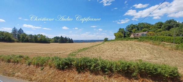 Entre Cluny et Charolles, vaste propriété de 250 m², sur terrain de 2 800   m²