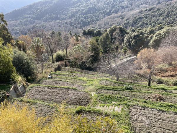 Porri (20215) Appartement Duplex 5 Pièces avec Terrasse, Cave et Jardin - À Rénover