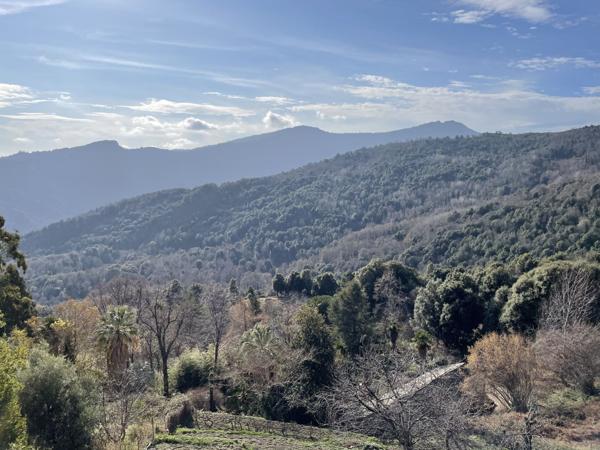 Porri (20215) Appartement Duplex 5 Pièces avec Terrasse, Cave et Jardin - À Rénover