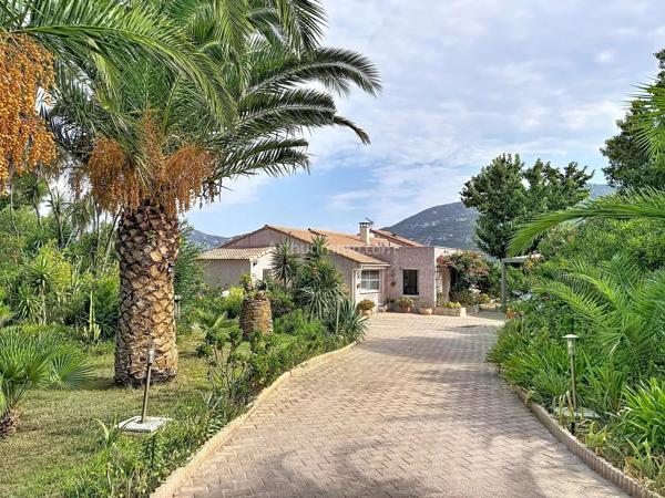 Vente                                                      Maison
                        
                     8 pièces                      200 m2                     à Calenzana