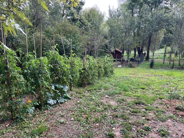 Gimont (32200) Maison en pierre 175 m² – Garage – Jardin avec puits