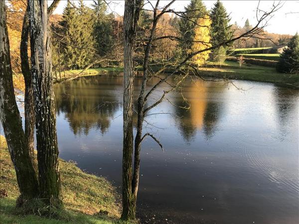 Terrain à vendre |  Saint-Léger-Bridereix |  9963 m²