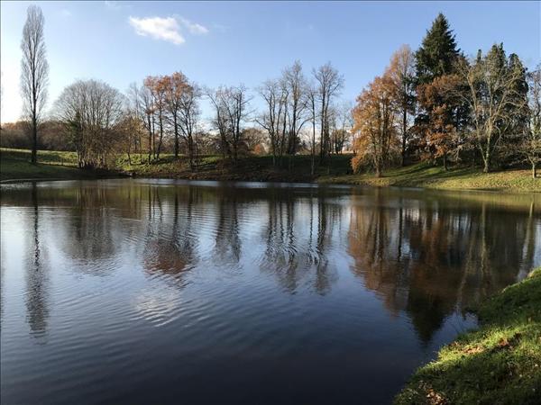 Terrain à vendre |  Saint-Léger-Bridereix |  9963 m²