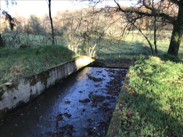 Terrain à vendre |  Saint-Léger-Bridereix |  9963 m²