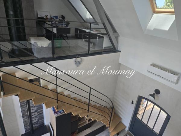 MAGNIFIQUE LONGERES DE CARACTERES AVEC GITES