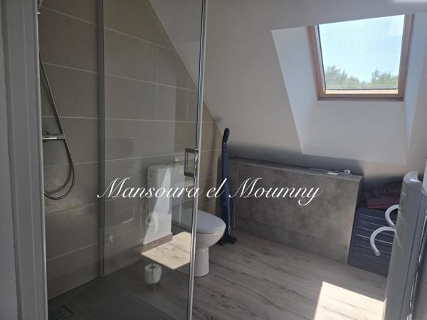 MAGNIFIQUE LONGERES DE CARACTERES AVEC GITES