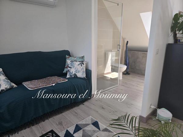 MAGNIFIQUE LONGERES DE CARACTERES AVEC GITES