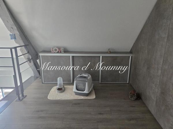 MAGNIFIQUE LONGERES DE CARACTERES AVEC GITES