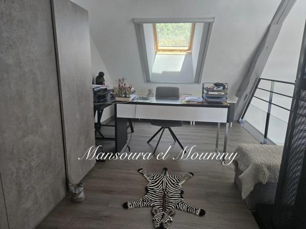 MAGNIFIQUE LONGERES DE CARACTERES AVEC GITES