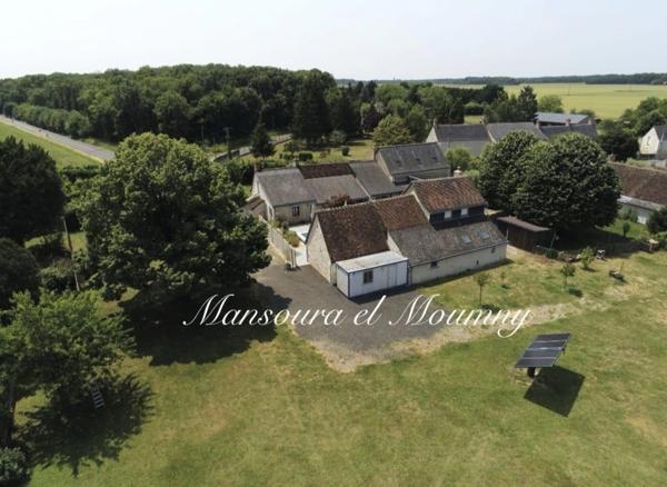 MAGNIFIQUE LONGERES DE CARACTERES AVEC GITES