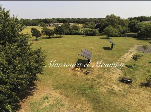 MAGNIFIQUE LONGERES DE CARACTERES AVEC GITES