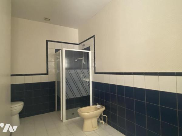 PROPRIETE - 190M² A RENOVER - AVEC SOUS-SOL -  1 HECTARE