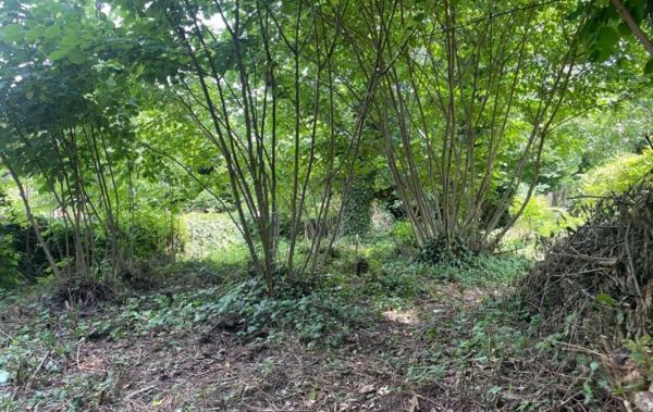 Vente Maison Chateau-verdun   