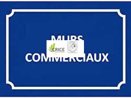 MURS COMMERCIAUX OCCUPÉS A VENDRE  CHARENTE (16)