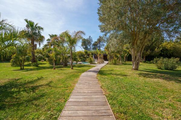 Vente Maison de luxe Lattes 6 Pièces 240 m²