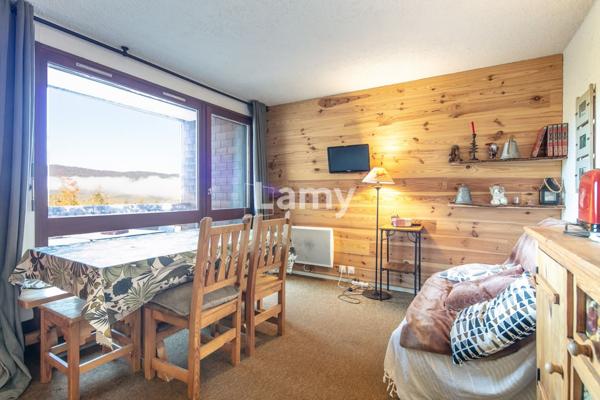 Appartement + cellier + casier à skis