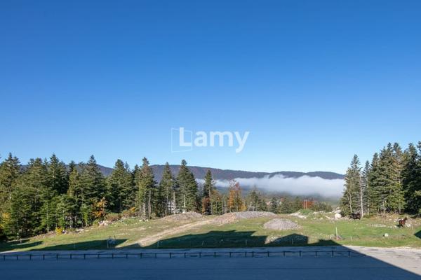 Appartement + cellier + casier à skis