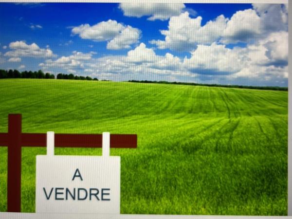 Vente / Terrain constructible