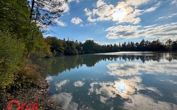 Maison à vendre    5 pièces •  Salbris