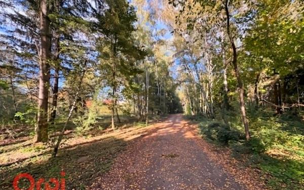 Maison à vendre    5 pièces •  Salbris