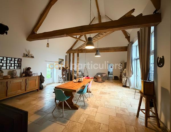 Vente Maison265 m² - 9 Pièces - BLERE (37150)