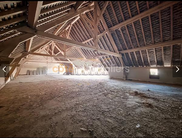 Vente Maison265 m² - 9 Pièces - BLERE (37150)