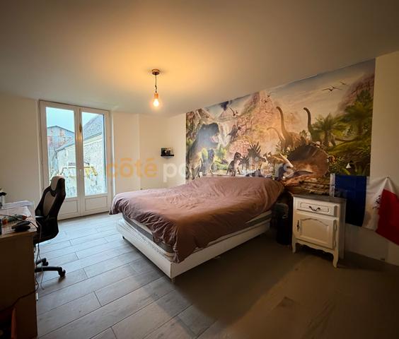 Vente Maison265 m² - 9 Pièces - BLERE (37150)