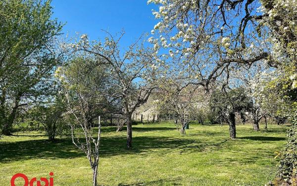 Maison à vendre    6 pièces •  Montmarault