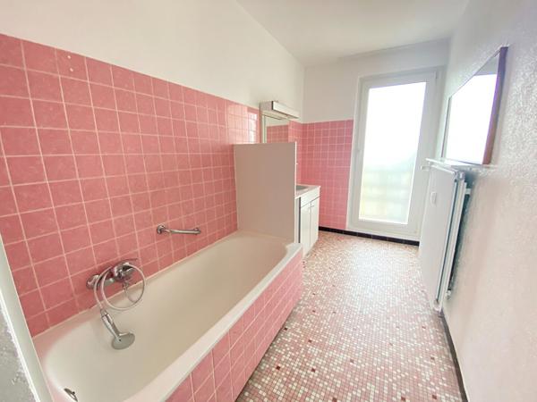 Charmant appartement 2 pièces à vendre à Mulhouse, dernier étage avec balcon , garage et cave