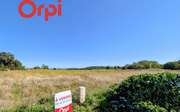 Terrain à vendre    Saint-Just-Luzac