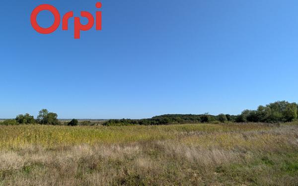 Terrain à vendre    Saint-Just-Luzac